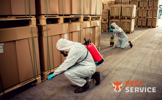 Дезинсекция в Новотроицке